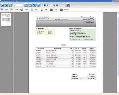 Example of print preview performed by Reports and Queries